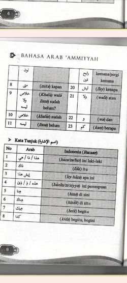 hilokal-notebook-image