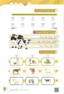 hilokal-notebook-image