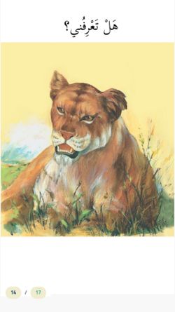 hilokal-notebook-image