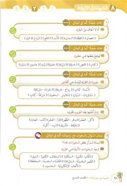 hilokal-notebook-image