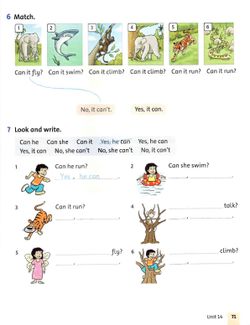 hilokal-notebook-image