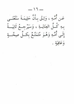 hilokal-notebook-image