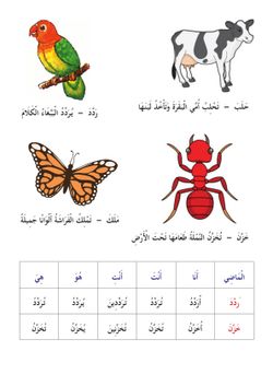 hilokal-notebook-image