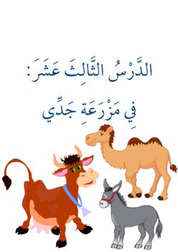 hilokal-notebook-image