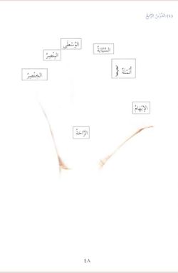 hilokal-notebook-image