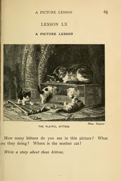 hilokal-notebook-image