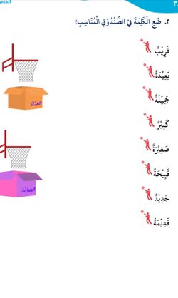 hilokal-notebook-image