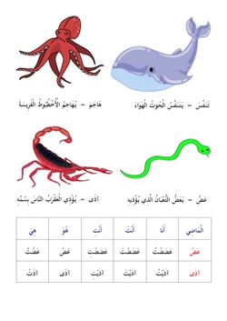 hilokal-notebook-image