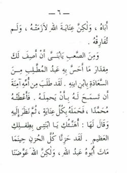 hilokal-notebook-image