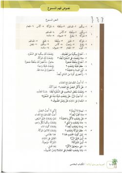 hilokal-notebook-image