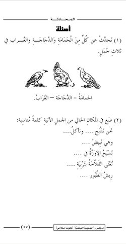 hilokal-notebook-image