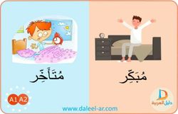 hilokal-notebook-image