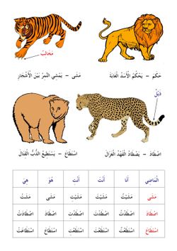 hilokal-notebook-image