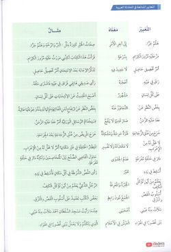 hilokal-notebook-image