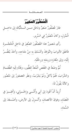 hilokal-notebook-image