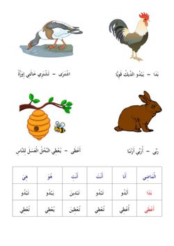 hilokal-notebook-image