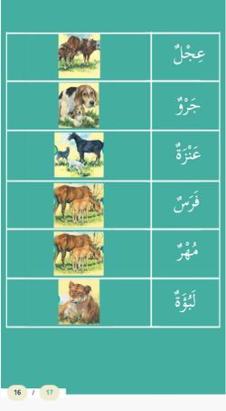 hilokal-notebook-image
