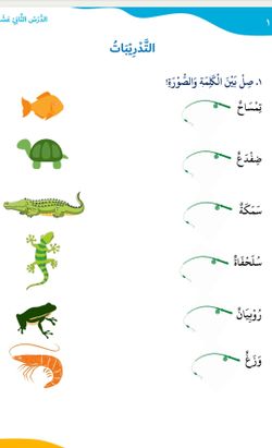 hilokal-notebook-image