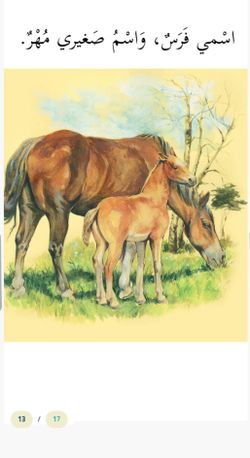 hilokal-notebook-image