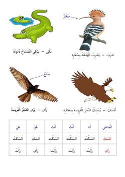 hilokal-notebook-image