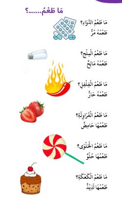 hilokal-notebook-image