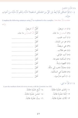 hilokal-notebook-image