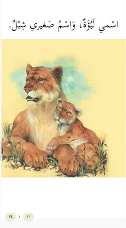 hilokal-notebook-image
