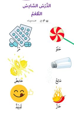 hilokal-notebook-image