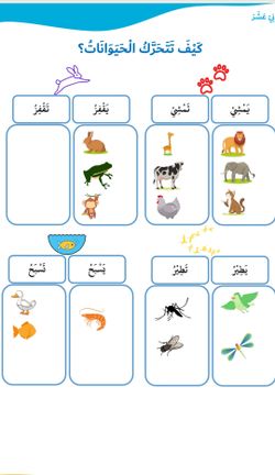 hilokal-notebook-image