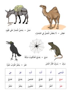 hilokal-notebook-image