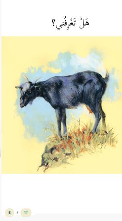 hilokal-notebook-image