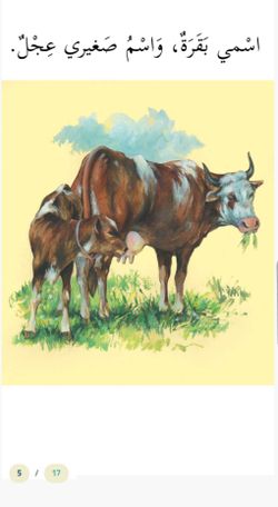 hilokal-notebook-image