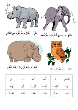 hilokal-notebook-image