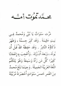 hilokal-notebook-image