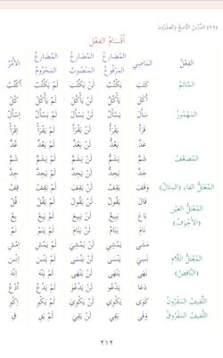 hilokal-notebook-image