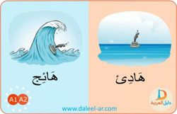 hilokal-notebook-image
