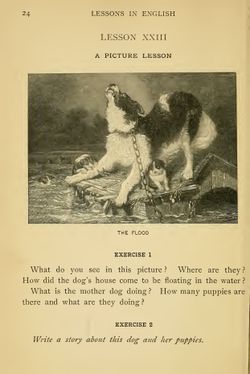 hilokal-notebook-image