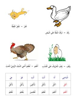 hilokal-notebook-image