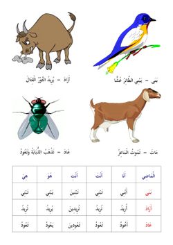 hilokal-notebook-image