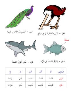 hilokal-notebook-image