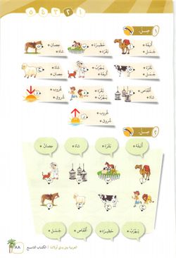hilokal-notebook-image