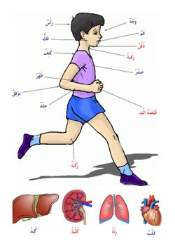 hilokal-notebook-image