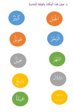 hilokal-notebook-image