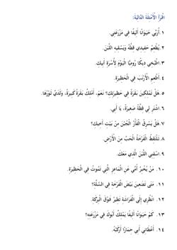 hilokal-notebook-image