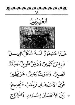 hilokal-notebook-image