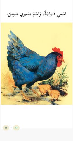 hilokal-notebook-image