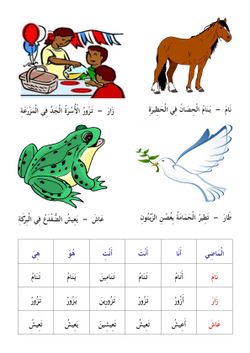 hilokal-notebook-image