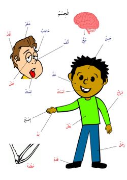 hilokal-notebook-image