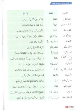 hilokal-notebook-image