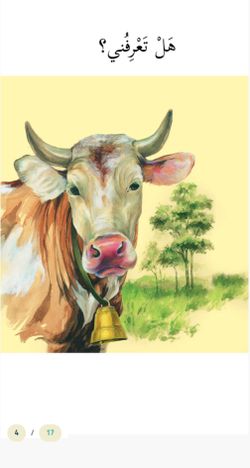 hilokal-notebook-image